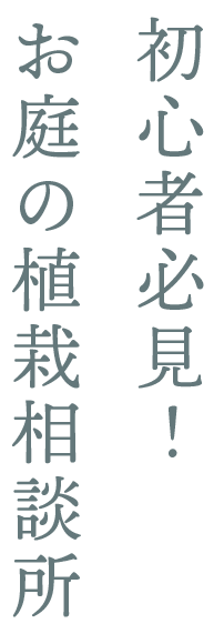 初心者必見！お庭の植栽相談所