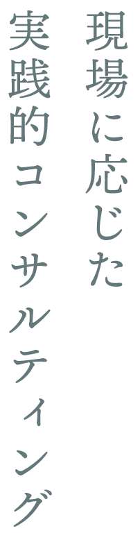 現場に応じた実践的コンサルティング