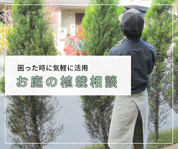 困った時に気軽に活用 お庭の植栽相談