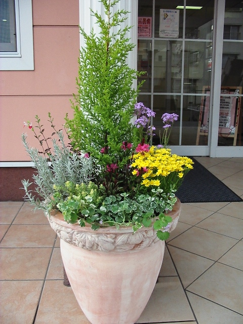 花と木の寄せ植えの注意点 Zelf Garden ぜるふ が でん