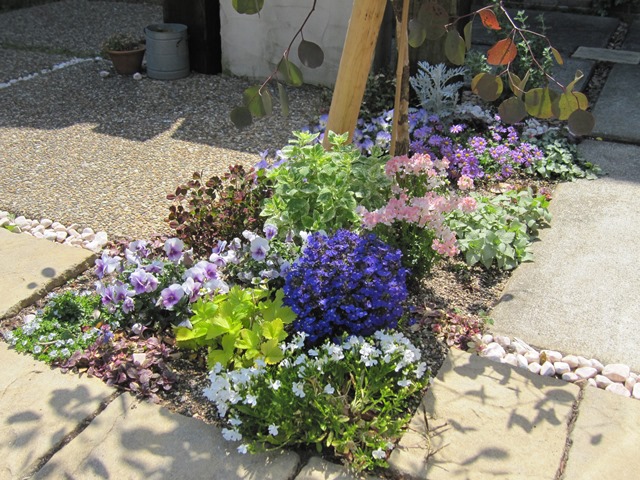 木の下に植物は植えるもの Zelf Garden ぜるふ が でん