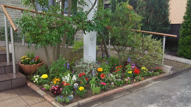 鉢植えと地植えの活用例 Zelf Garden ぜるふ が でん